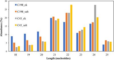 Salt-responsive bermudagrass microRNAs and insights into light reaction photosynthetic performance